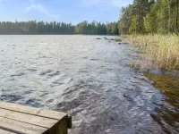 Kissankello