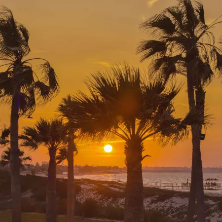 Hilton Skanes Monastir Beach Resort