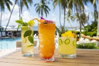 Casa Marina Key West, Curio Collection by Hilton - en bord de mer