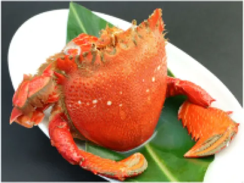 奧伯格酒店 熊毛郡酒店