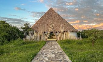 3. KUOOM 세렝..