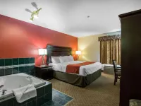 Comfort Inn & Suites Airport South Hotels near Saddletown C Train