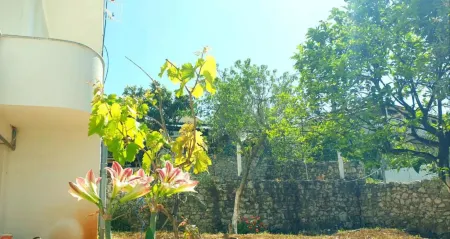 Room in Apartment - Albania Dream Holidays Apartment Ksamil