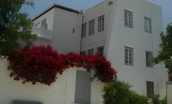 Hotel Miranda