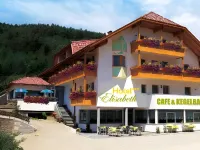 Hotel Elisabeth Hotels in Falzes