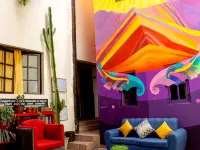 庫斯科熊背包客旅舍 庫斯科酒店