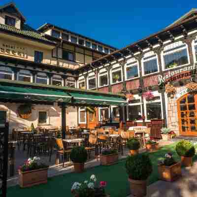 Hotel Bucegi Hotel Exterior