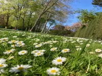 Roya’s Home Private Studio Hotels in Zaventem