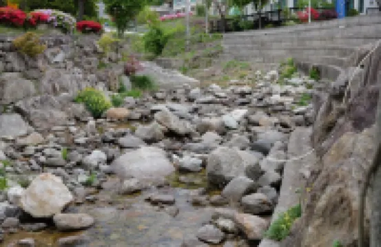 Inje Deulgukwa Pension