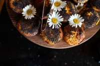 Le Masq Hôtel La Rochelle