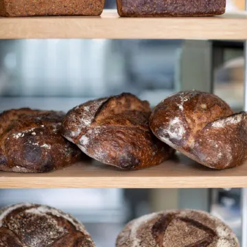 Graduate by Hilton Berkeley