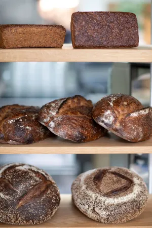 Graduate by Hilton Berkeley Отели в г. Беркли