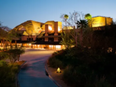 Disney's Animal Kingdom Lodge Hotels in Bay Lake