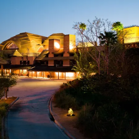 Disney's Animal Kingdom Lodge