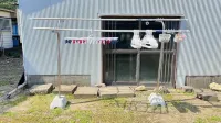 KOKOYUI GUESTHOUSE Taiji Các khách sạn ở Taiji