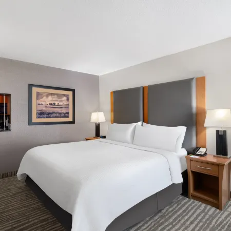 Holiday Inn CALGARY-AIRPORT by IHG