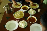 Campper Campwoody Munnar Hotels in Suryanelli