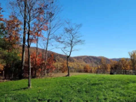 Scenic Mountain Getaway with a Firepit and Amazing Views of Mountains and Horses Hotels in Greene County