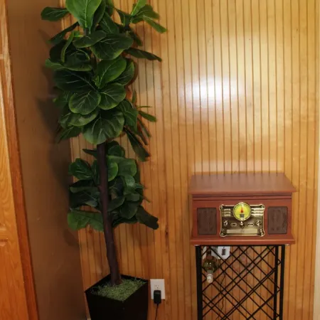 Charming 3-bedroom house with private patio, 20min to dwntn Nashville/ Airport