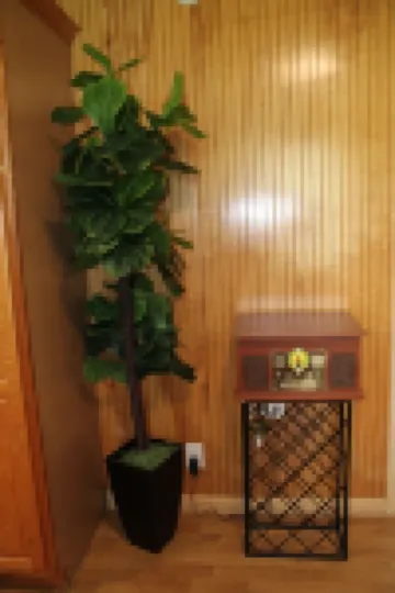 Charming 3-bedroom house with private patio, 20min to dwntn Nashville/ Airport