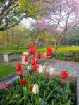 It's Here! A Restful Experience...Flx Wine Trails Garden Studio + Deck +  BBQ