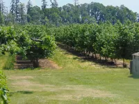 Cozy Little Cabin on the Farm