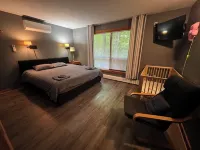 Bear Cabin Winnipesauke Beach Access, Family/Dog Friendly Home Fenced in Yard.