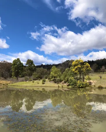 Loft Haven at Girraween Full house 1 bedroom with queen bed near National Parks Отели в г. Станторп