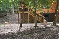 3 Bedroom, 2 Bath Cabin with a Private Creek, Fire Pit, WiFi