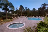 Hilton Garden Inn Palm Coast Town Center - piscine
