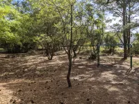 Duck Road Central Location🐶Dog Friendly🎾Parking &Tennis Pass⛱Walk to the Beach