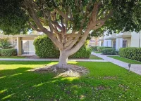 Charming Condo, Walk to Old Town