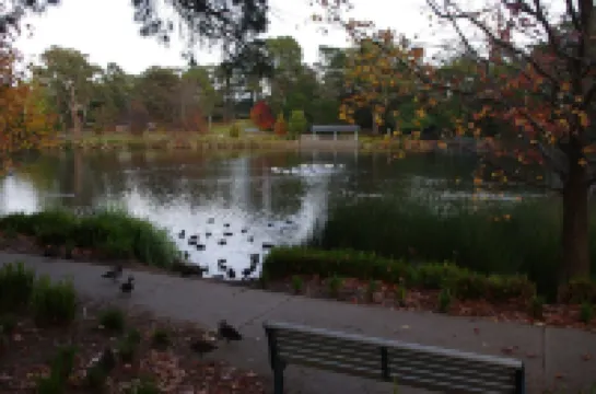 Luxury Heritage Cottage In The Heart Of Town Hotels in Mittagong