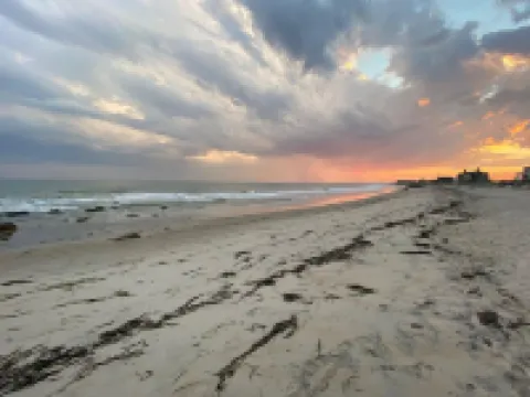 Let the Sea Set You Free