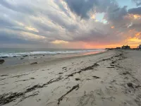 Let the Sea Set You Free