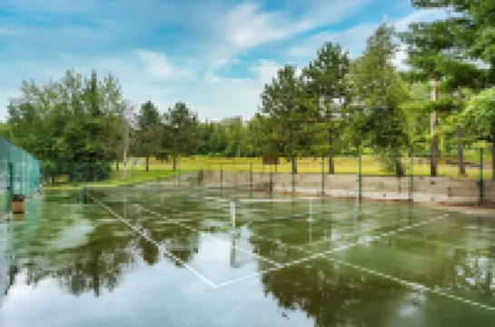 Ski & Golf Resort Villa at Giants Ridge