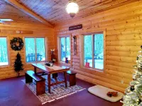 Buffalo Lake Cabin I Private Beach l Detroit Lakes l Pet Friendly Hotels in Becker County