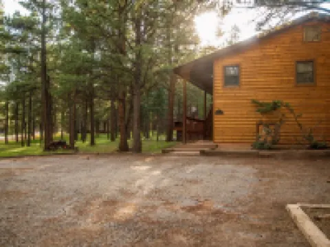 Newly Renovated, Near Country Club and Ski Resort, fiber internet & Hot tub* Hotels in Angel Fire