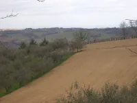 HOUSE FOR RENT IN THE COUNTRYSIDE Hotels in Fano