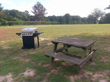 The Franklin Ranch Hunter's Cabin - 35 Minutes from Texas A&M football! Отели в г. Робертсон