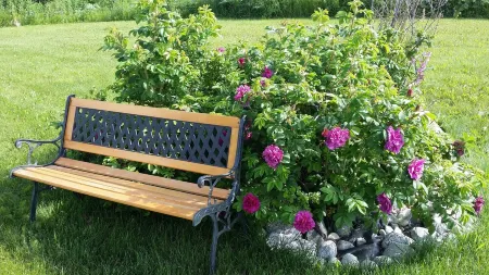 Family-sized Bluff House Overlooking the Beautiful Cook Inlet with Mountain View