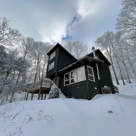 Modern cabin nestled in the trees - the Sugar cube