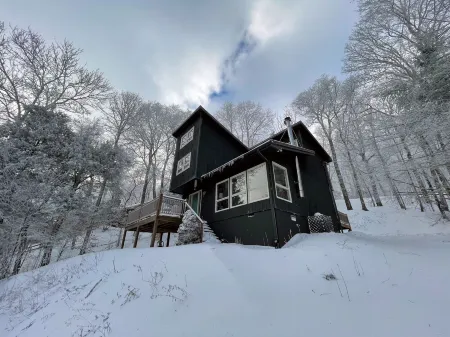 Modern cabin nestled in the trees - the Sugar cube
