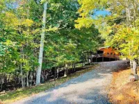 Take in Nature @ Whispering Woods, Secluded and Stylish Hotels in Piper Gap