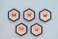 Orchard Oasis, Downtown Chico Unit #3