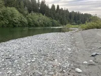 Serene restful redwoods getaway