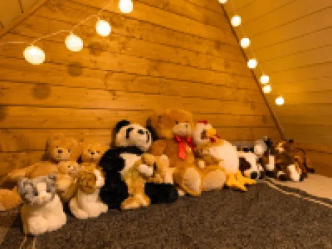 赫爾曼泰迪收藏家之家