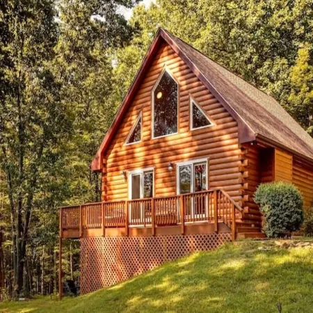 Pet Friendly with Mountain Views on 151 BrewRidge Trl Near Wineries~Hikes~Skiing