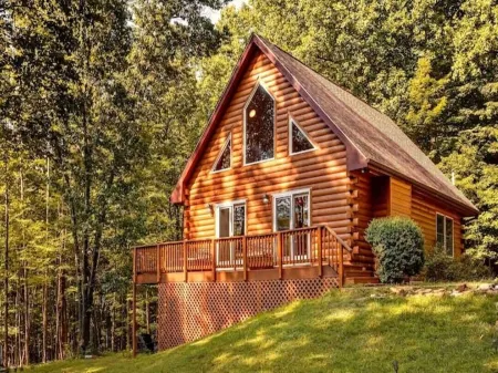 Pet Friendly with Mountain Views on 151 BrewRidge Trl Near Wineries~Hikes~Skiing