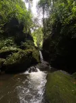 Montés Samaná - Homestays